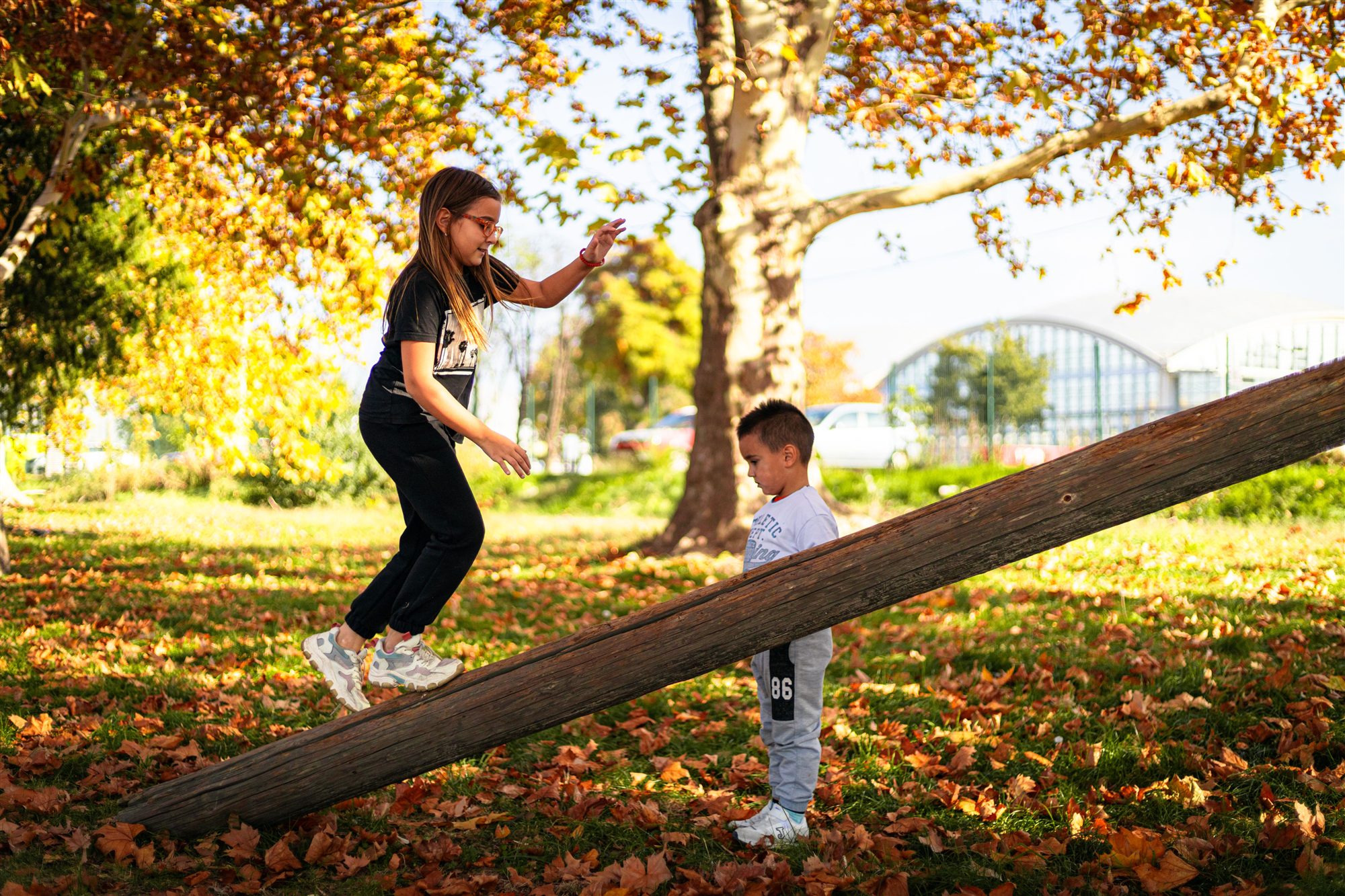 A girl stepping up a sloping log in a park in autumn, arms out for balance, while a younger boy stands beside the log and watches