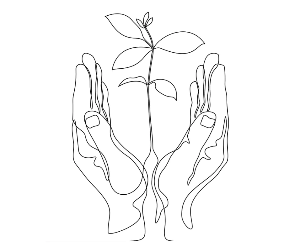 Line drawing illustration