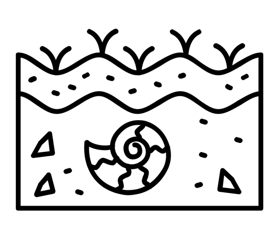 Line drawing illustration