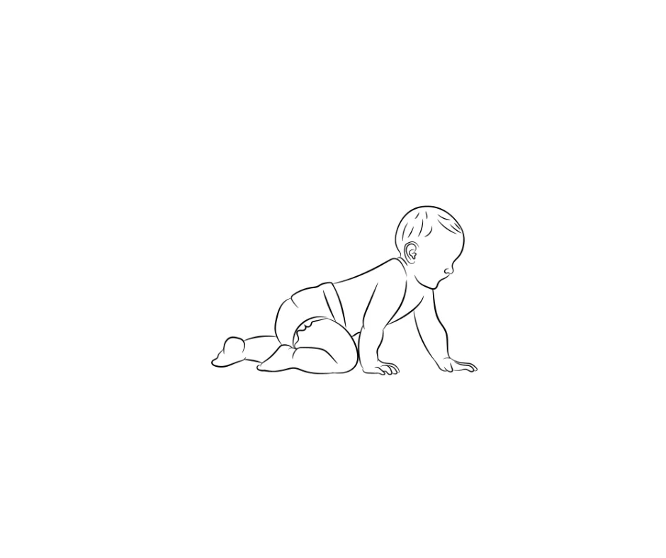 Line drawing illustration